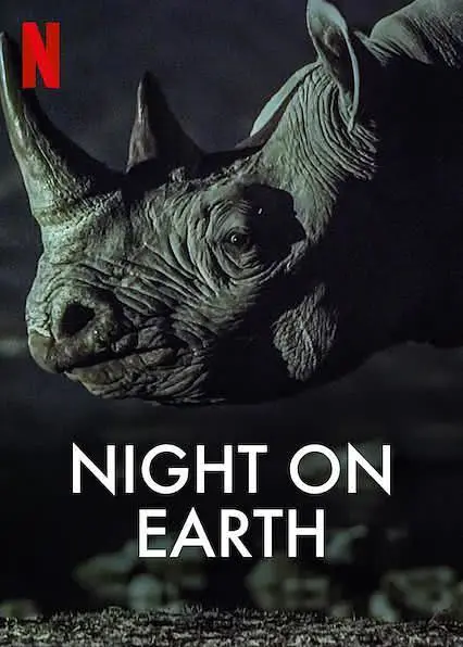 地球的夜晚.png
