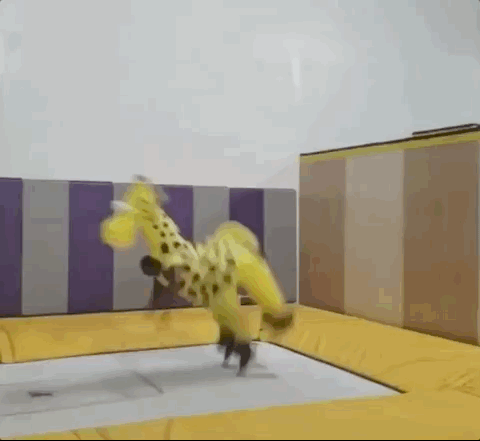 9jwk61583997075.gif